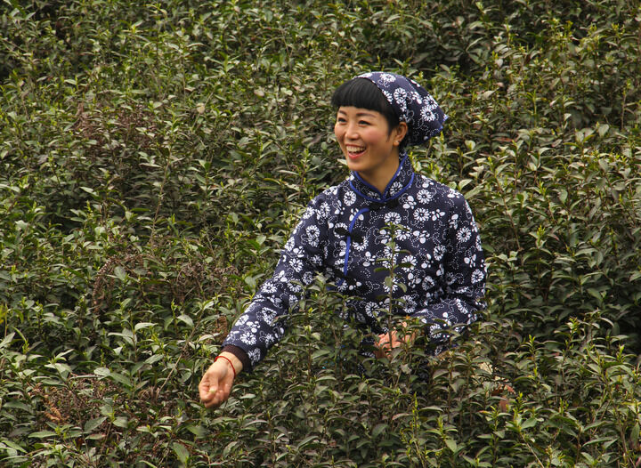 84间房主播跳舞 黑色电影